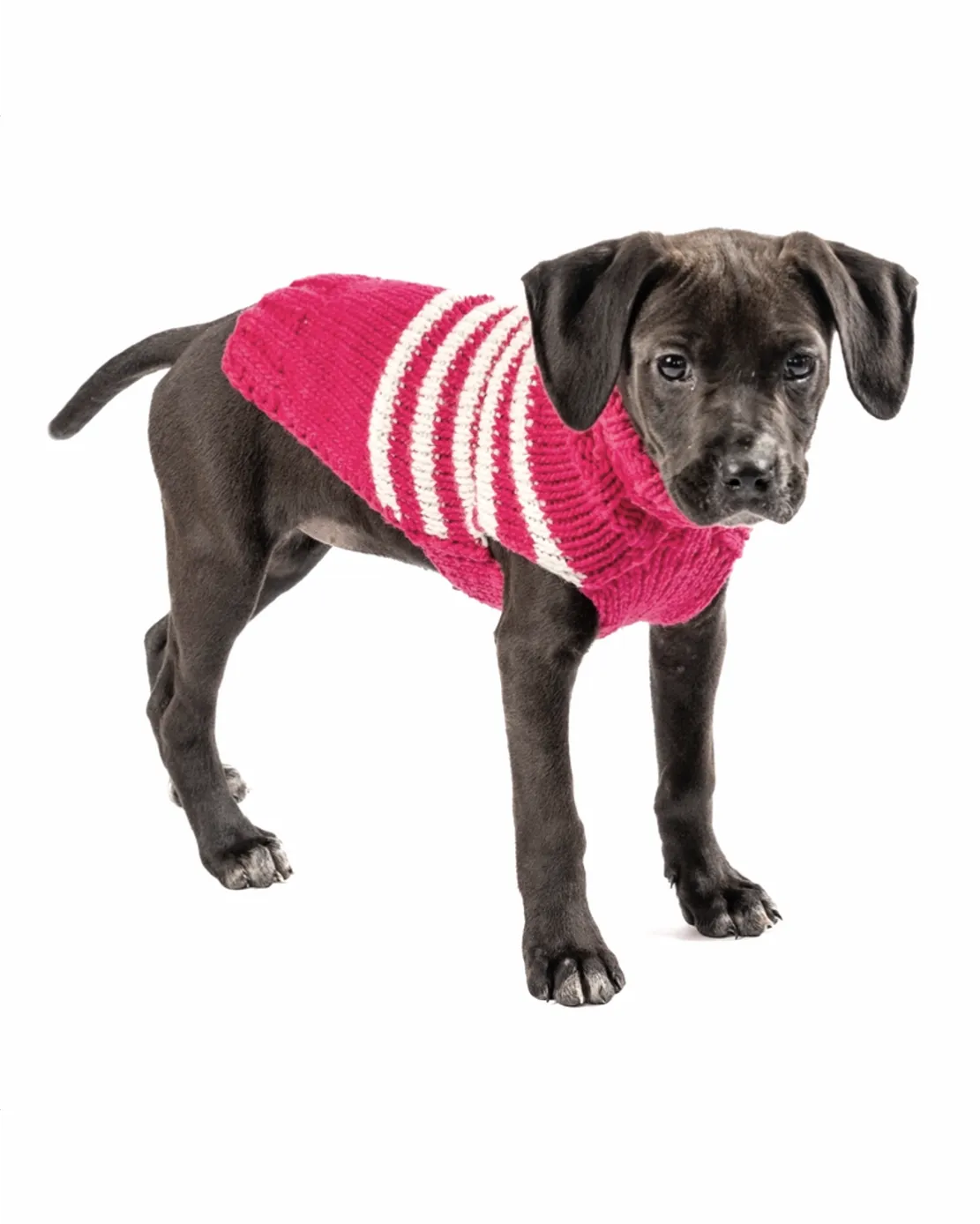 Between the Lines Berry Pink Alpaca Stripe Dog Sweater