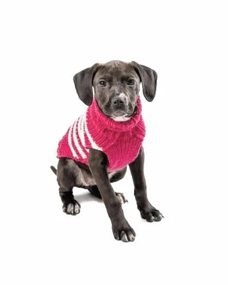 Between the Lines Berry Pink Alpaca Stripe Dog Sweater