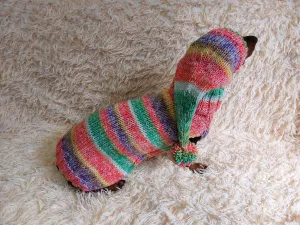 Bright Christmas pet outfit set jumper and hat, christmas outfit for photo shoot,christmas gift for dogs, Santa costume for dog