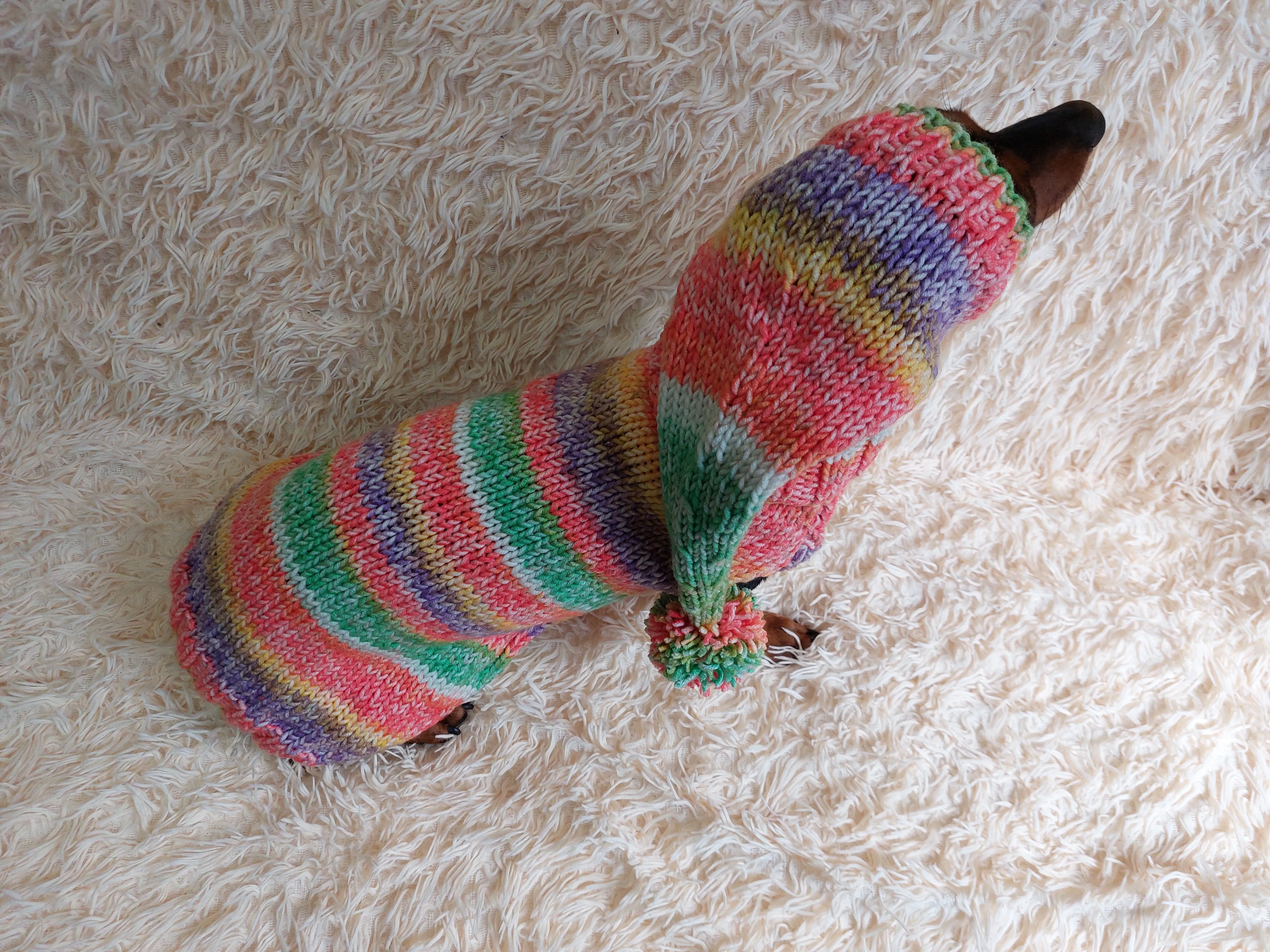 Bright Christmas pet outfit set jumper and hat, christmas outfit for photo shoot,christmas gift for dogs, Santa costume for dog