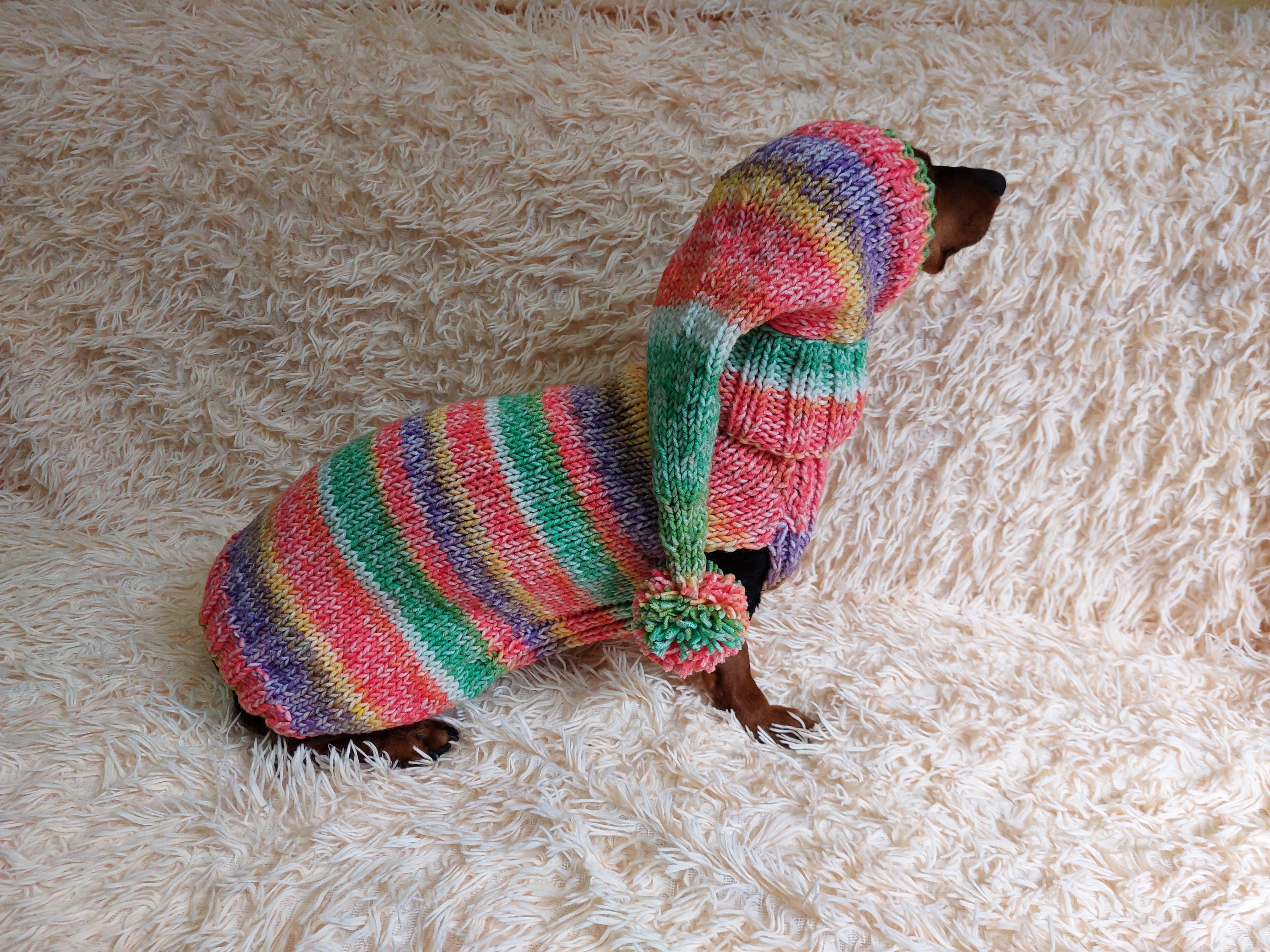Bright Christmas pet outfit set jumper and hat, christmas outfit for photo shoot,christmas gift for dogs, Santa costume for dog