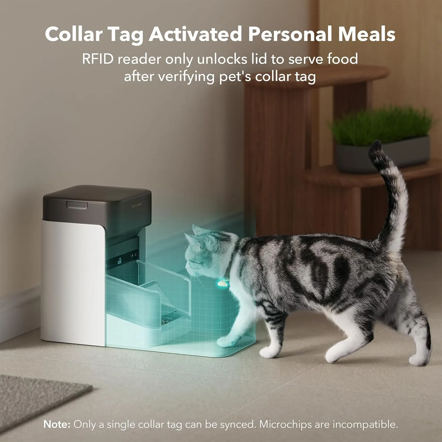 Bundle of PETLIBRO Upgraded RFID Automatic Cat Feeder, 2 Packs 5G Wi-Fi Automatic Pet Feeder, 3L Auto Cat Feeder App Control with Light Collar Tag   2 Packs Safety Silicone Dog Food Mat