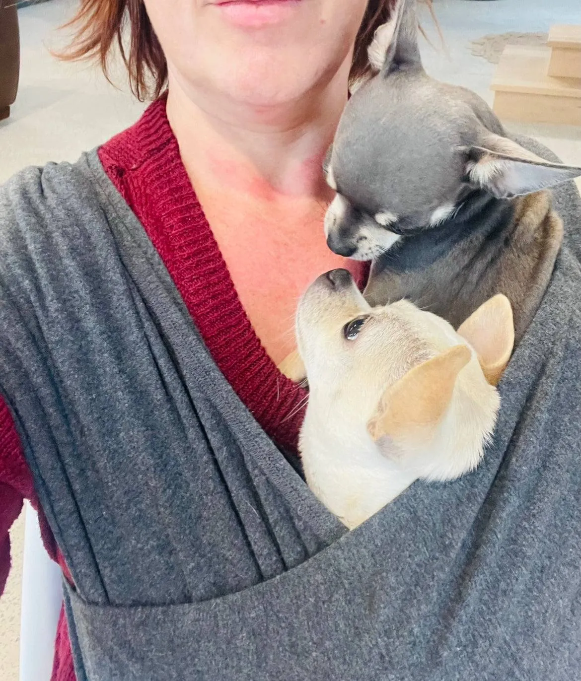 Convertible pet sling carrier