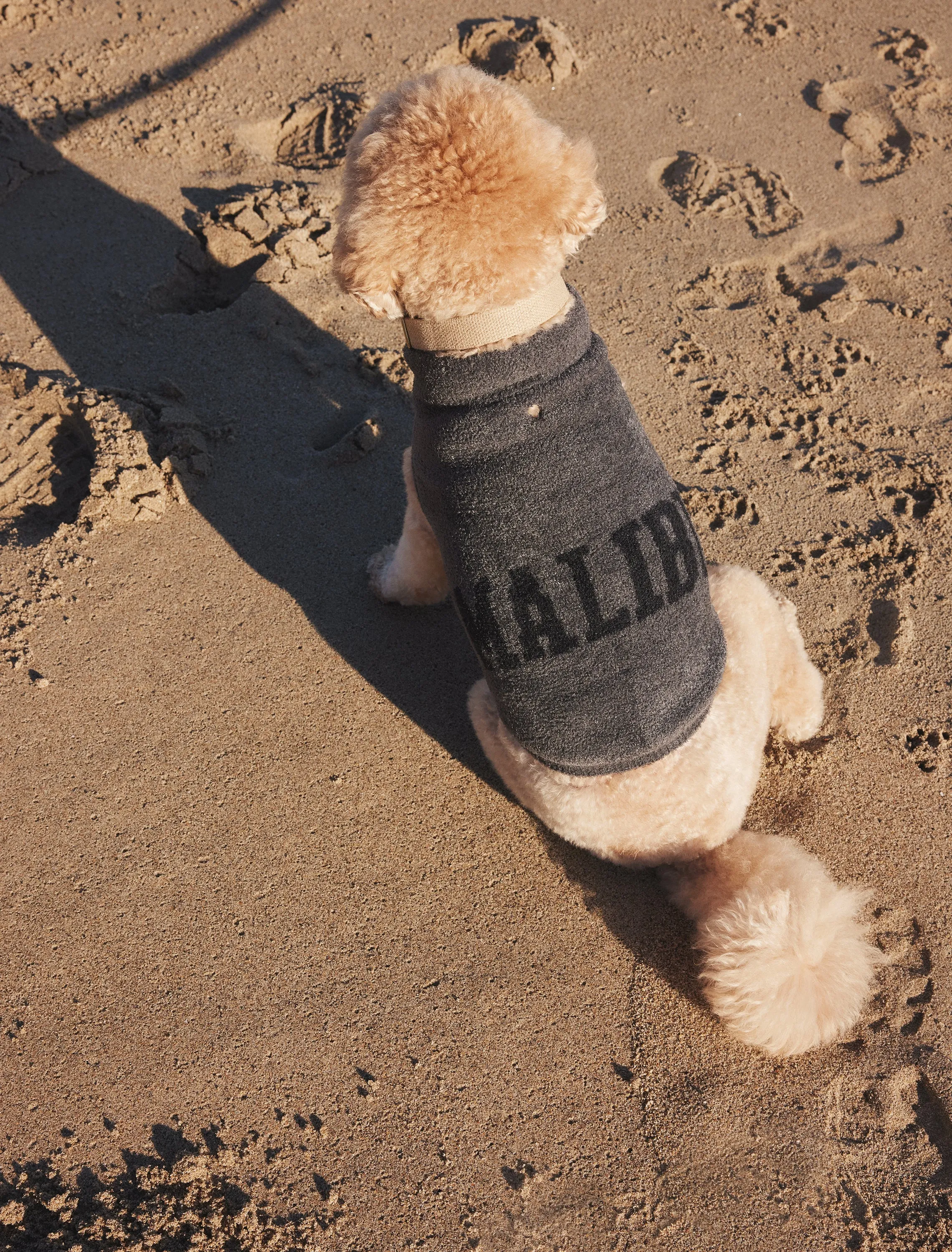 CozyChic Lite® Malibu Pet Sweater