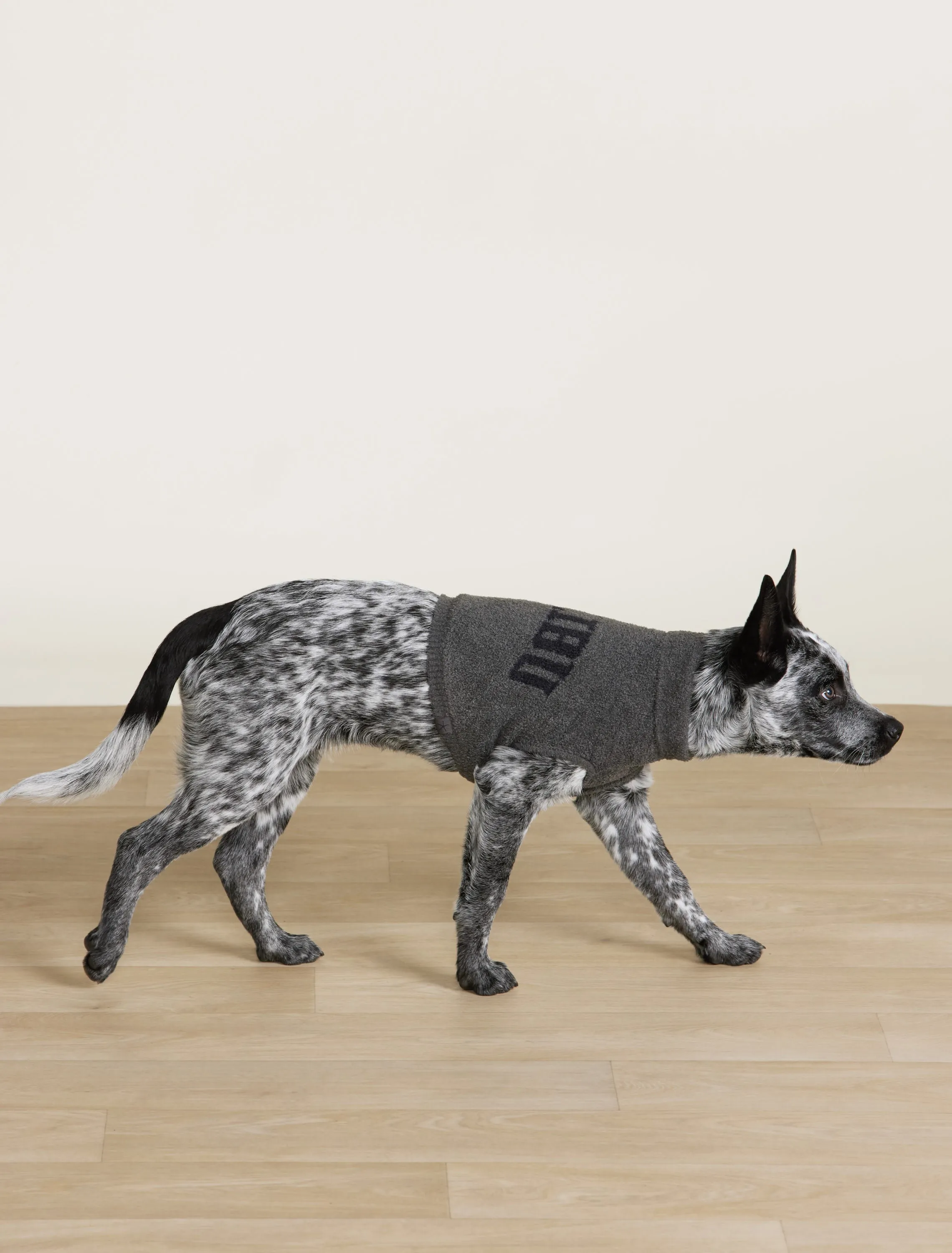 CozyChic Lite® Malibu Pet Sweater