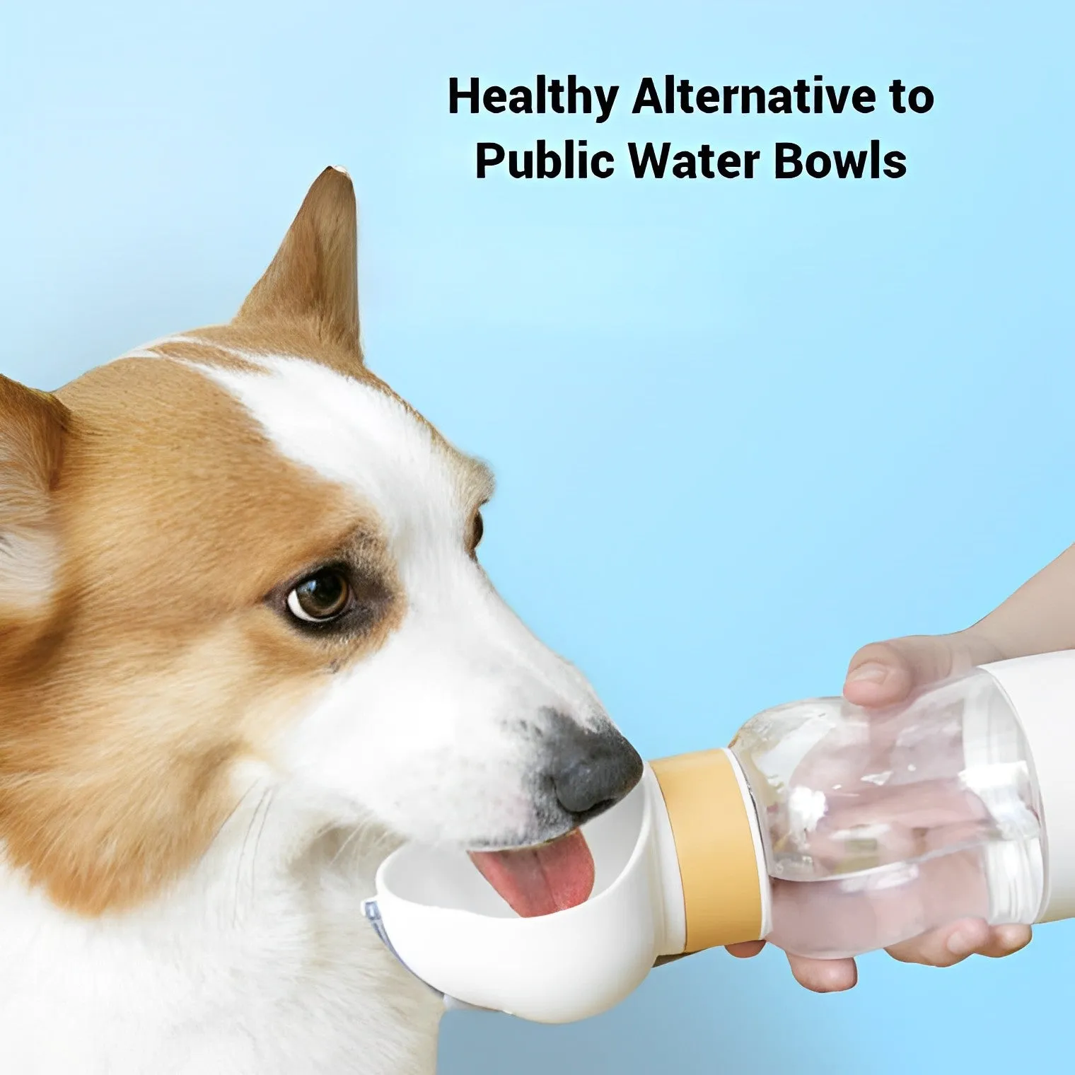 Dog Portable Travel Water Bottle