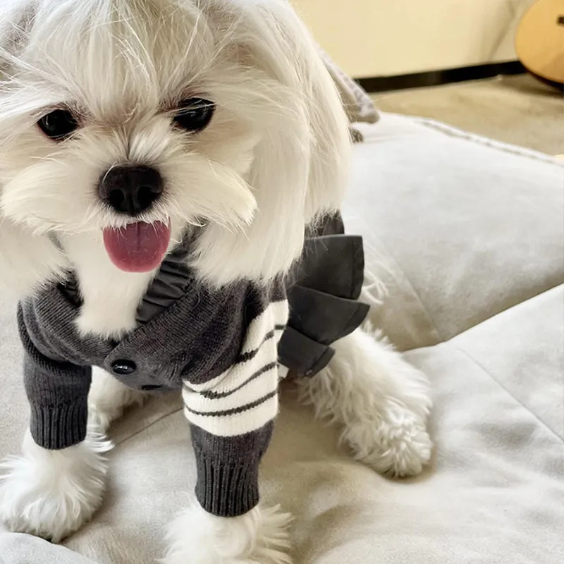 Dog Sweater Costumes