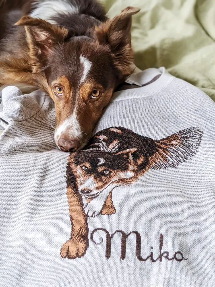 Full-Body Pet Custom Sweater