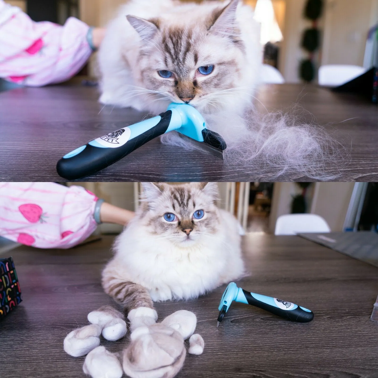 Furminator Dupe For Dogs