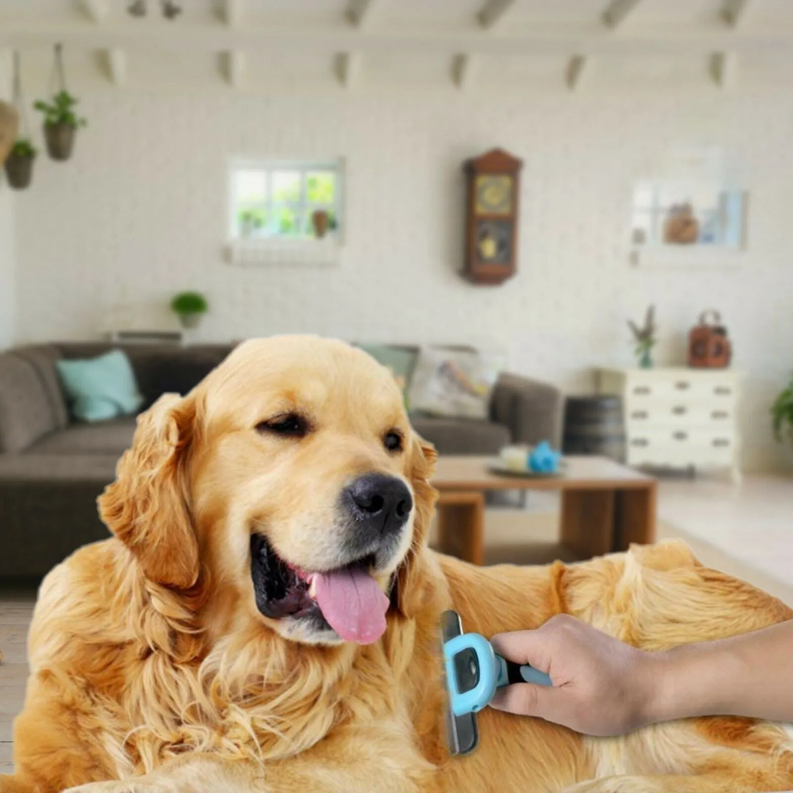 Furminator Dupe For Dogs