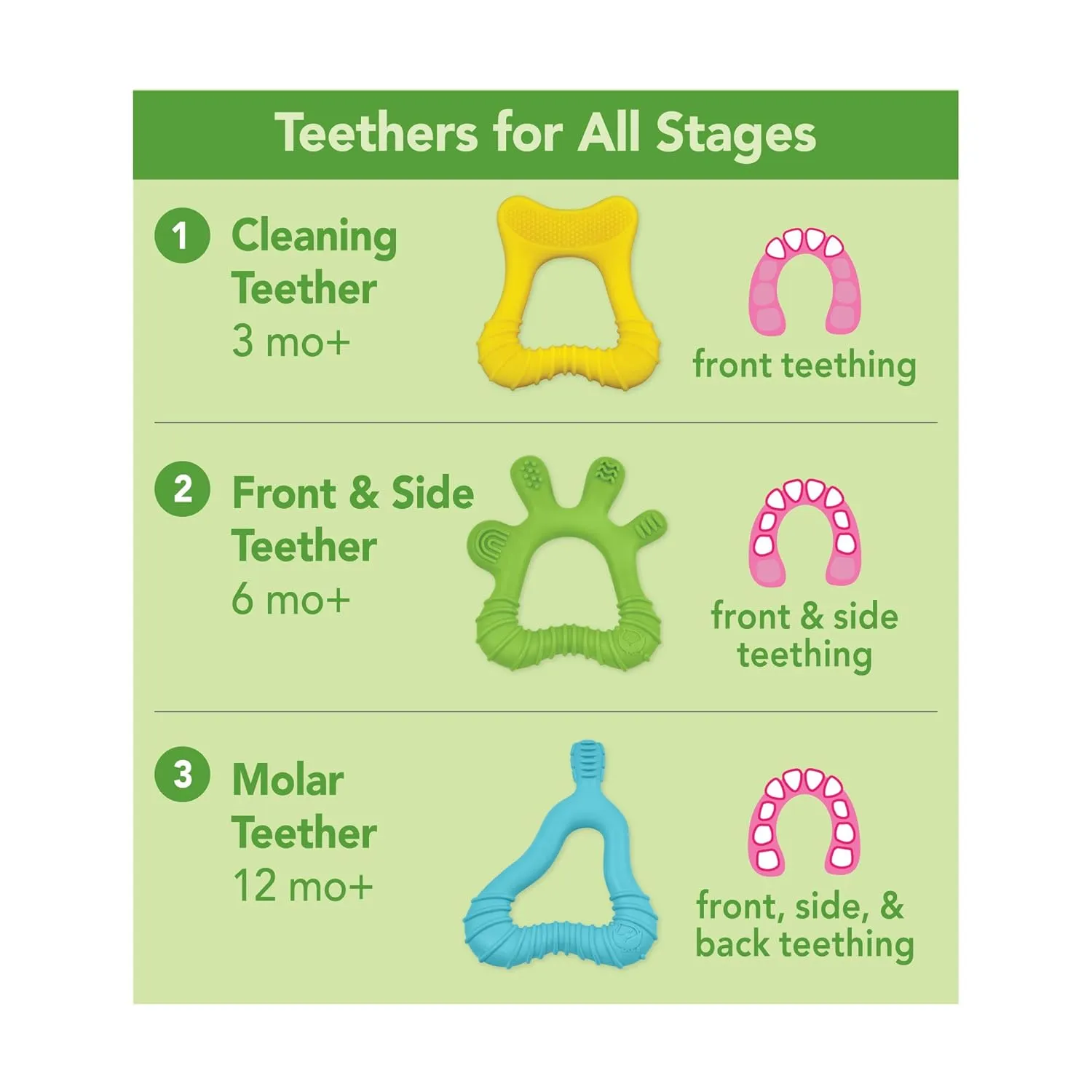 green sprouts Molar Teether made from Silicone | Soothes & massages baby's molar gums & teeth | Soft, flexible silicone eases pain, Easy to hold, gum, & chew, 1 Count (Pack of 1)