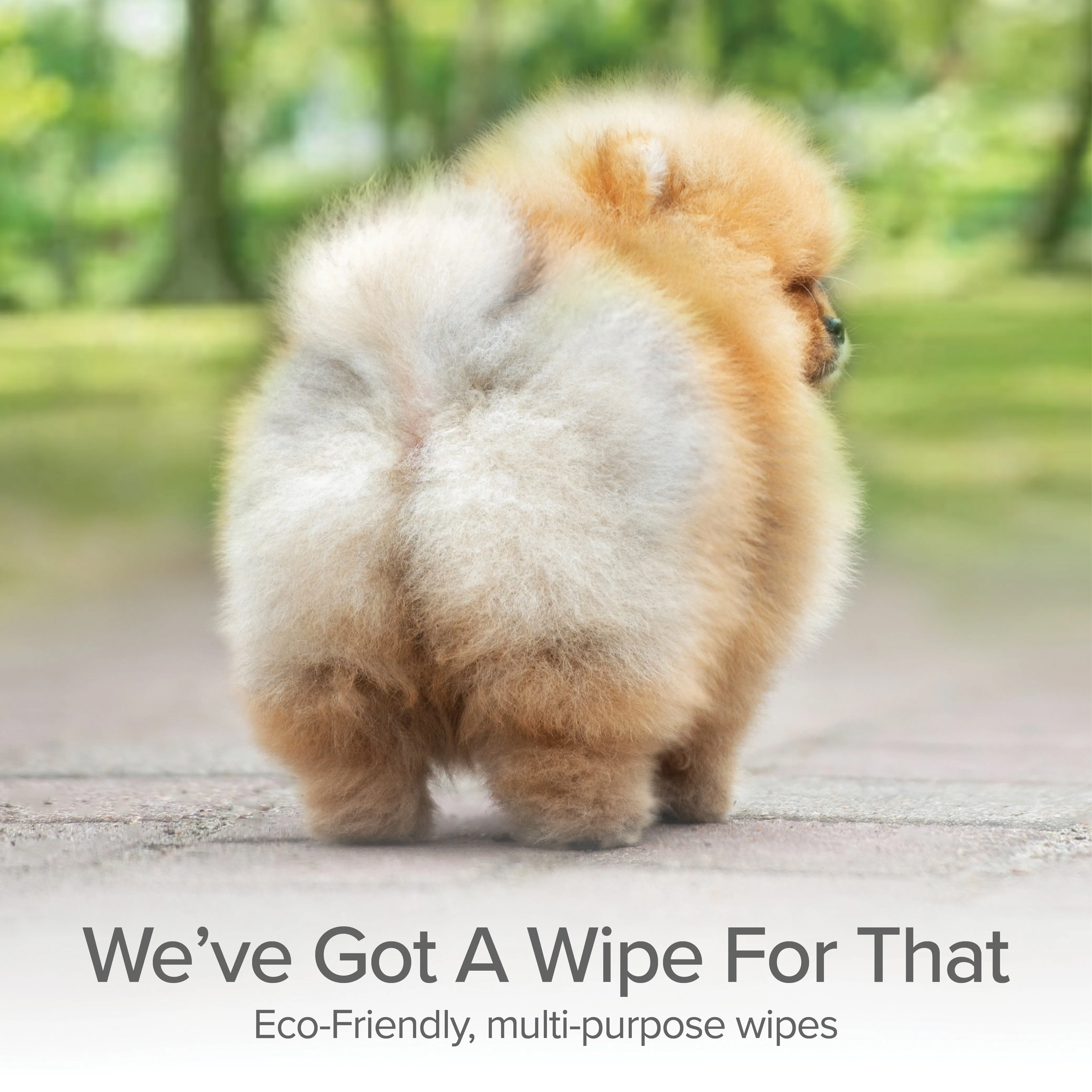 Grooming and Cleansing Wipes (Fragrance-Free)