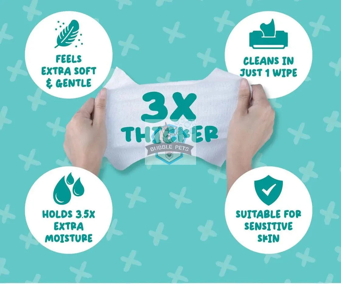 NEW LOOK: Absorb Plus Antibacterial Aloe Vera Scented Pet Wipes (3 Packs Promo)