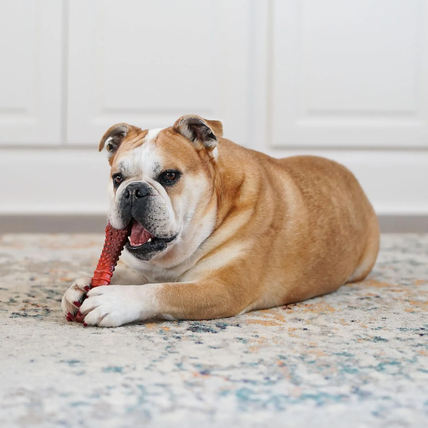 Nylabone Textured Bone Power Chew Toy for Dogs, Durable & Tough Dog Toys for Aggressive Chewers, Beef Jerky Flavor, X-Large Dogs - Over 50 Ibs, 1 Count