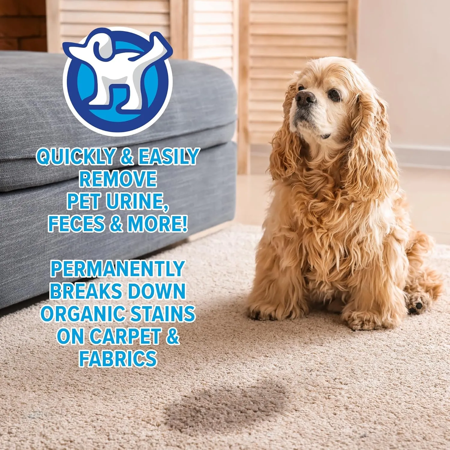 peepatrol Pet Stain   Odor Eliminator - 32 oz Spray Bottle (4 Pack) - Professional Strength Advanced Formula Tackles Biological Messes on Fabric, Carpet, and More