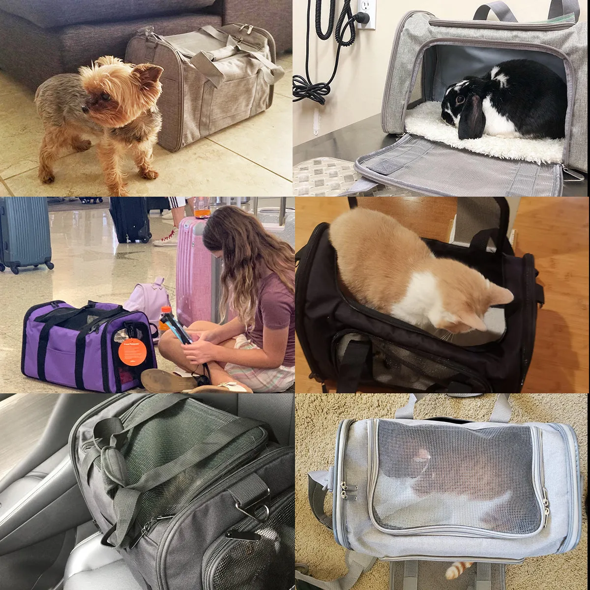Pet Carrier Transporter Bag