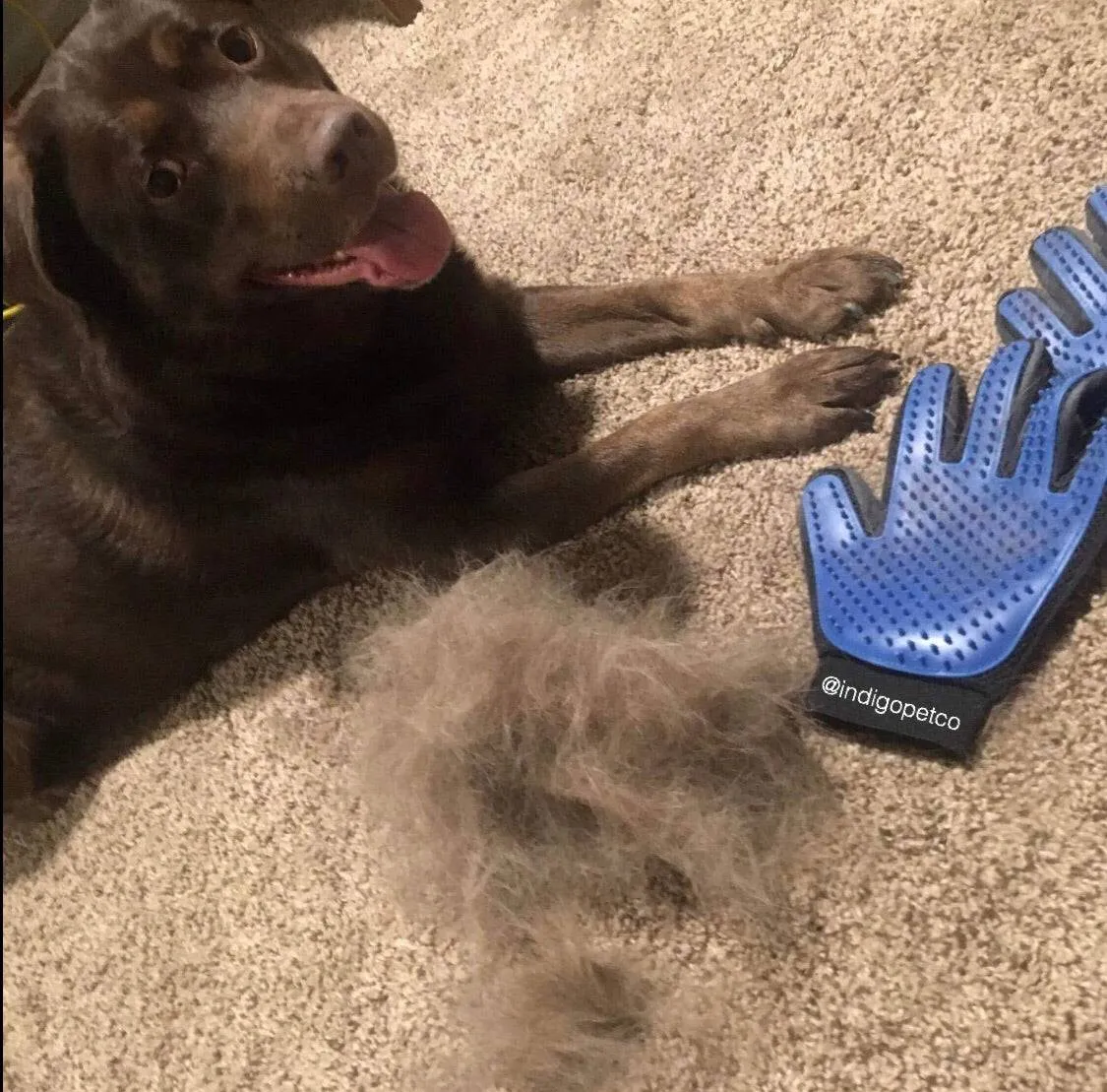 Pet DeShedding Glove