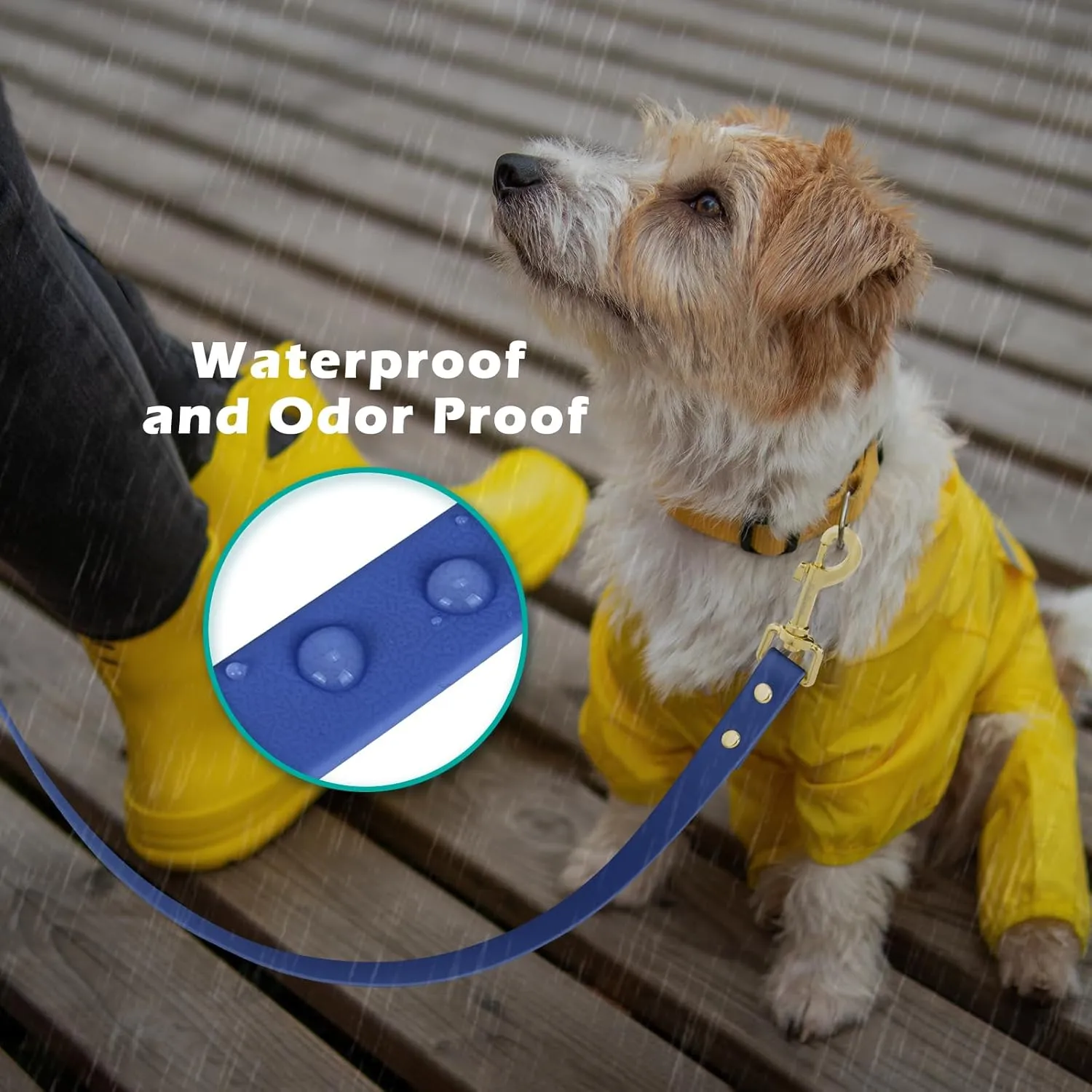 PetBonus Waterproof Dog Leash, 5 FT Odor Proof Walking Training Lead for Small Medium Dog, Adjustable Handle with Side Release Buckle (S, Blue)