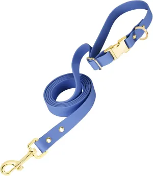 PetBonus Waterproof Dog Leash, 5 FT Odor Proof Walking Training Lead for Small Medium Dog, Adjustable Handle with Side Release Buckle (S, Blue)