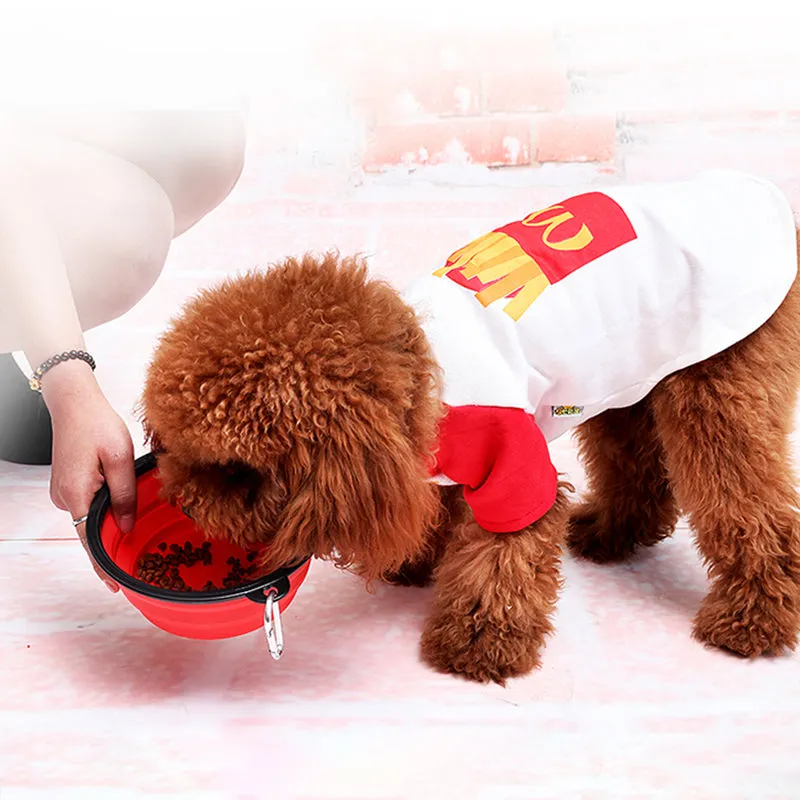 Portable and collapsible pet feeding bowl