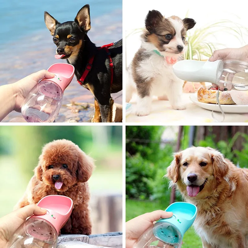 Portable Pet Water Bottle & Feeder