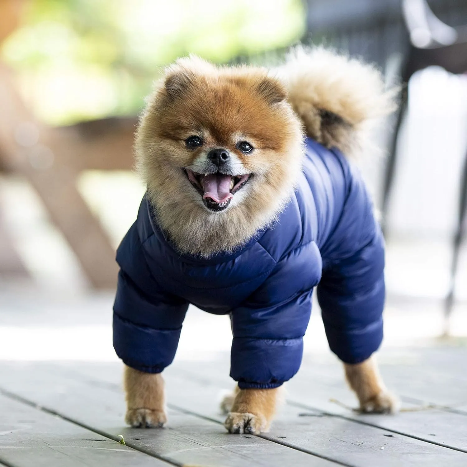 Puppia Winter Ultralight Dog Jumpsuit A Waterproof Warmth for Cold Weather Zipper Closure for Small and Medium Dogs, Navy, Small