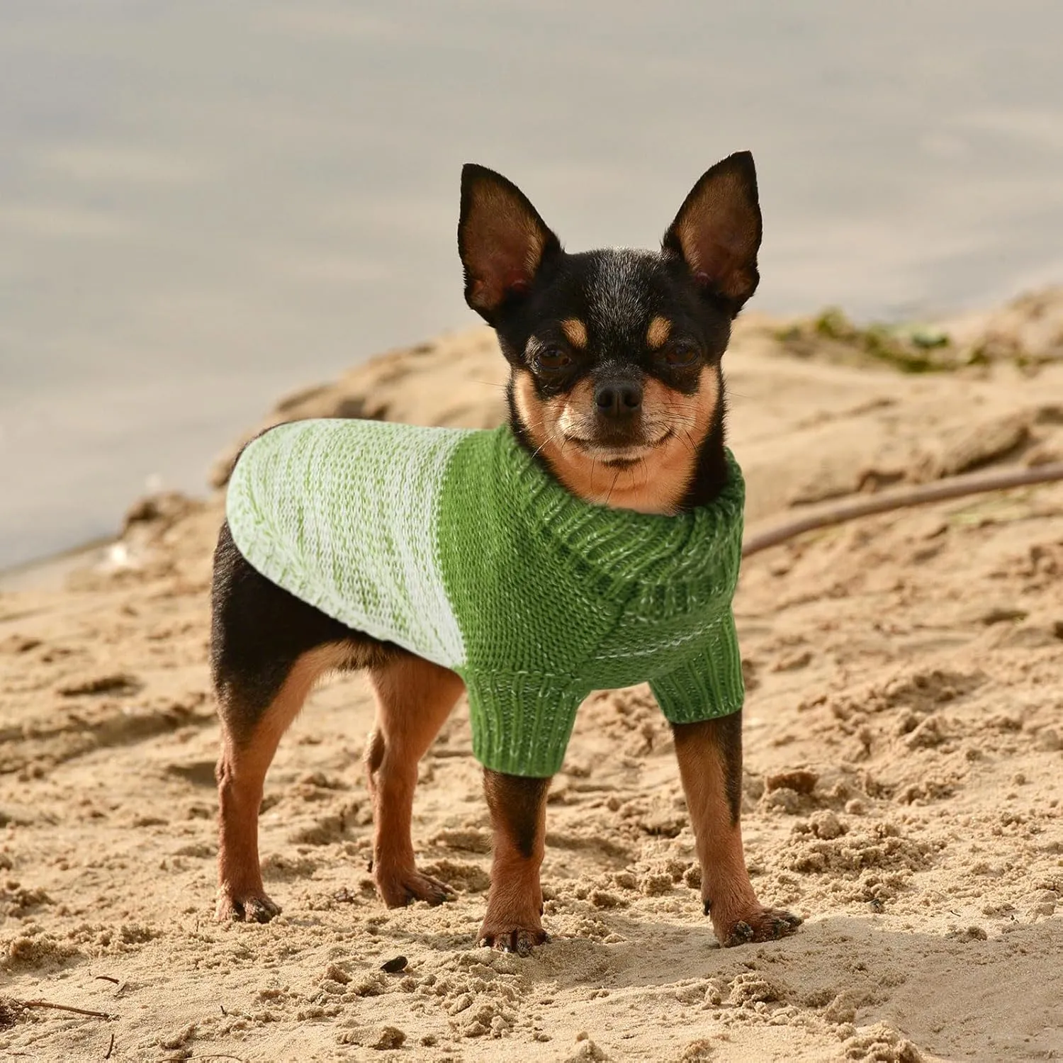 Queenmore Knitted Pullover Dog Sweater, Turtleneck Pet Cat Sweater, Cold Weather Puppy Clothes Stitching Knitwear with Leash Hole for Small Medium DogsGreen,S