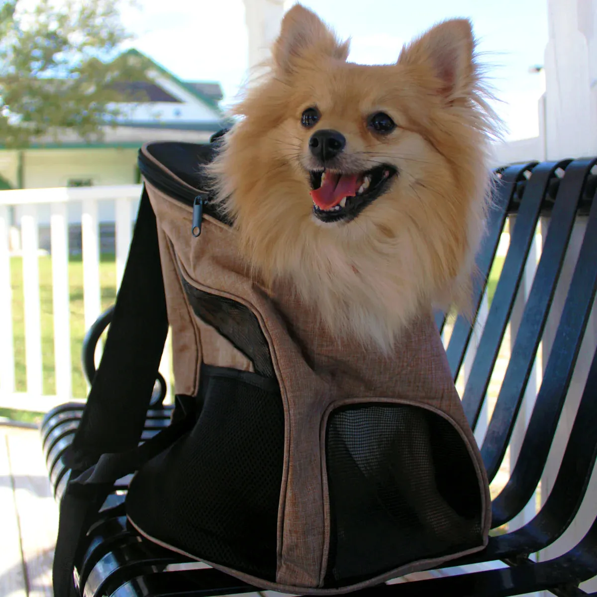 Soft Pet Carrier for Dogs