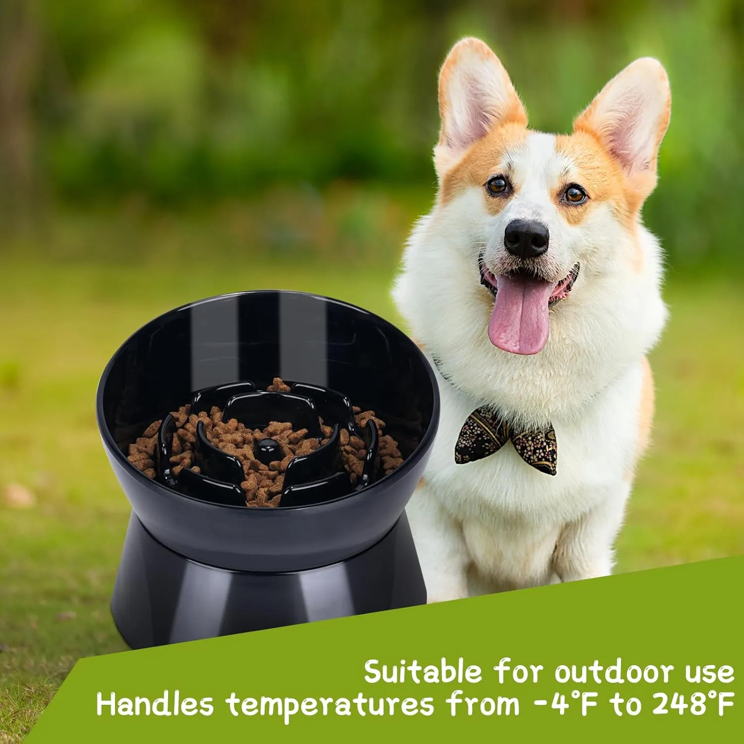 Tilted Raised Slow Feeder Bowl for Cats and Small & Medium Dogs, Raised Design Improves Posture, Spiral Inner Shape Prevents Fast Eating, Dishwasher Safe, 10 oz (Green, M-Dogs)