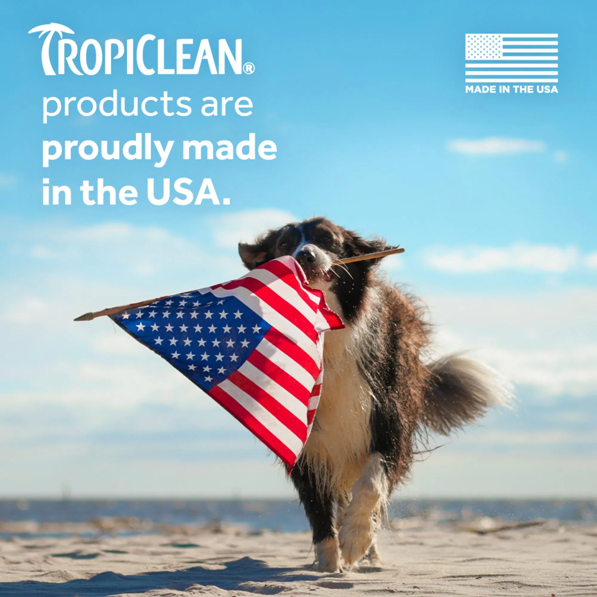 Tropiclean Dual Action Pet Ear Cleaner, Solution Soothes Itching & Infection, Vet Recommended 4oz